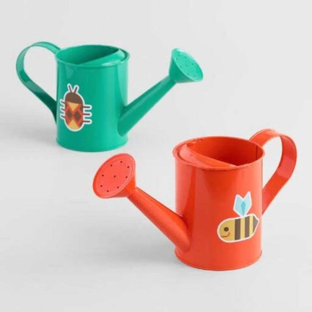 Beetle & Bee Watering Can Beetle