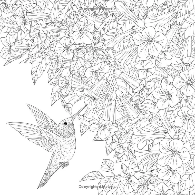 Birds: A Smithsonian Coloring Book
