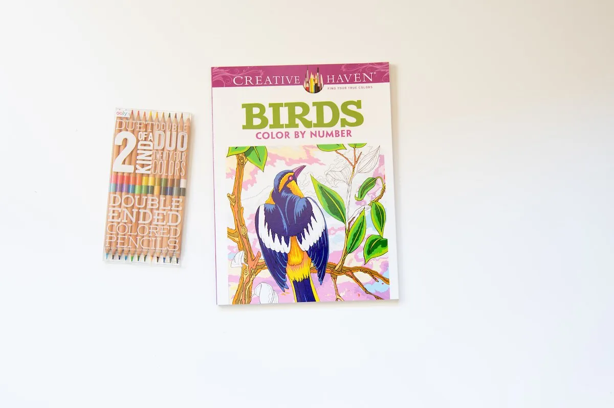 Birds Color By Number