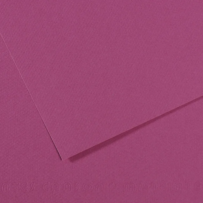 Canson Mi-Teintes Paper 19" x 25"
