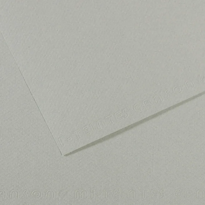 Canson Mi-Teintes Paper 19" x 25"