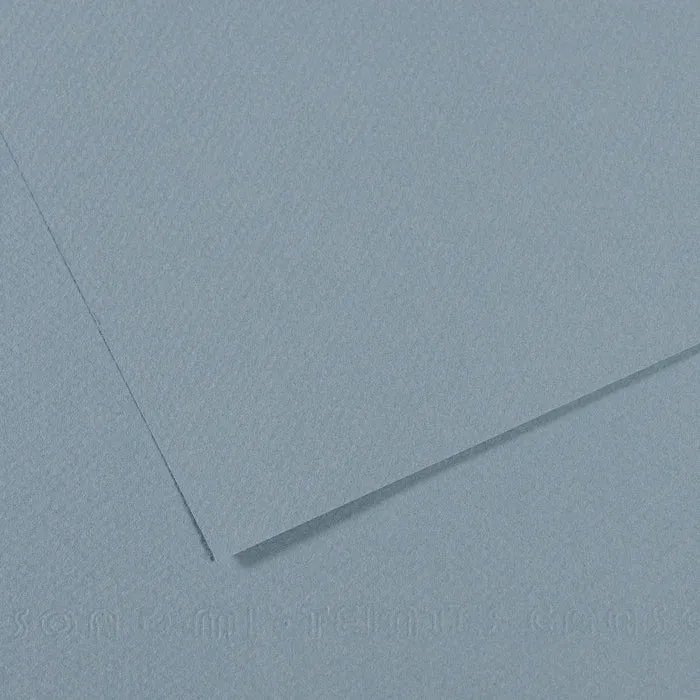 Canson Mi-Teintes Paper 19" x 25"