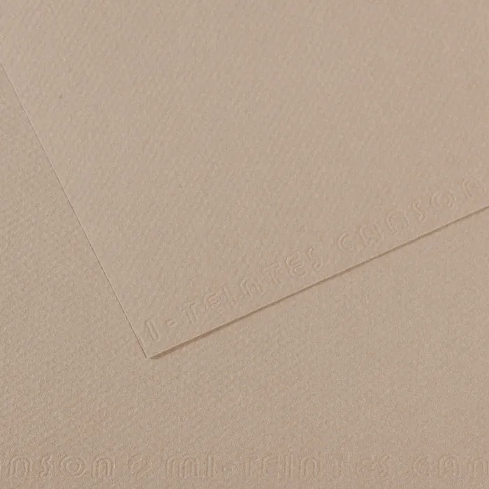 Canson Mi-Teintes Paper 19" x 25"