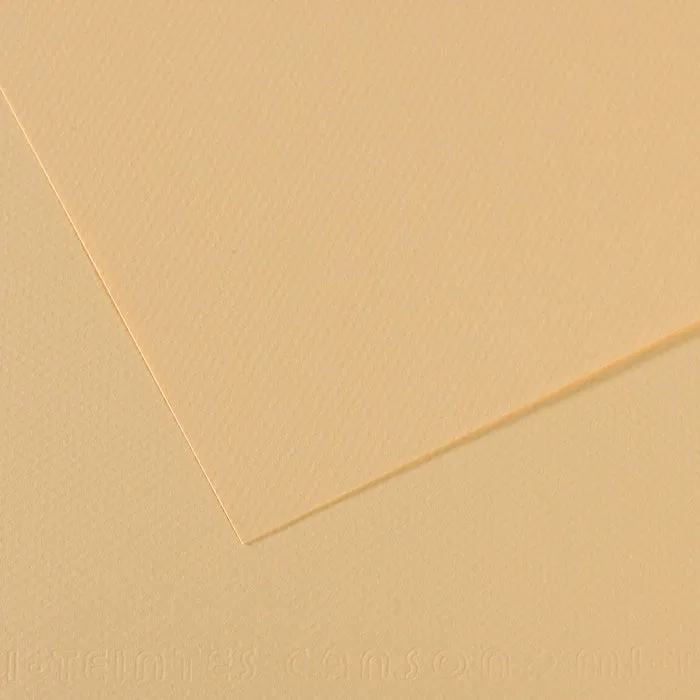 Canson Mi-Teintes Paper 19" x 25"