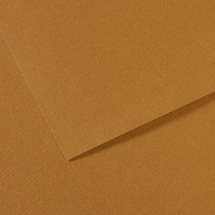 Canson Mi-Teintes Paper 19" x 25"