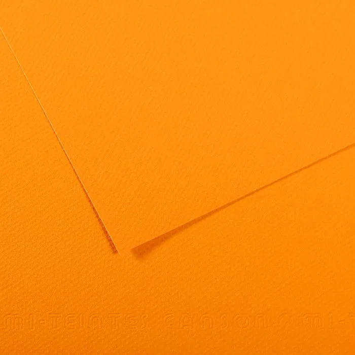 Canson Mi-Teintes Paper 19" x 25"