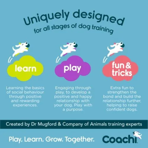 Coachi Training Chase & Treat Dog Toy