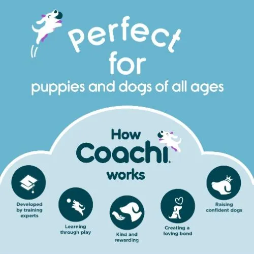 Coachi Training Chase & Treat Dog Toy
