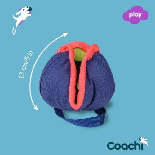 Coachi Training Chase & Treat Dog Toy
