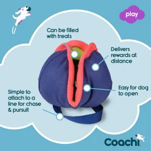 Coachi Training Chase & Treat Dog Toy