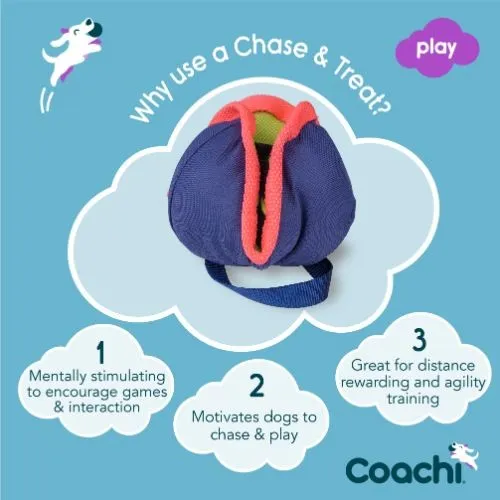 Coachi Training Chase & Treat Dog Toy