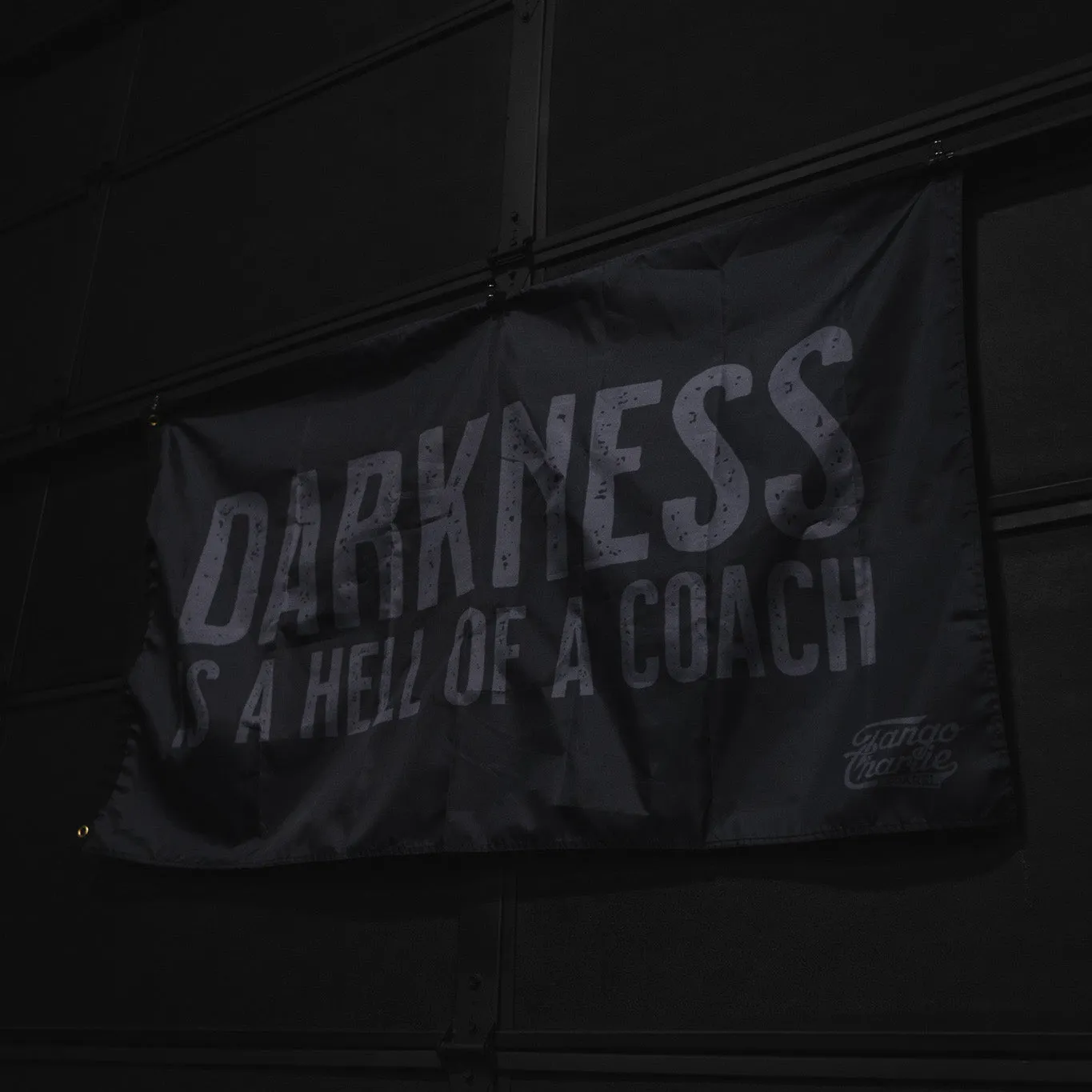 Darkness is a Hell of a Coach - Flag