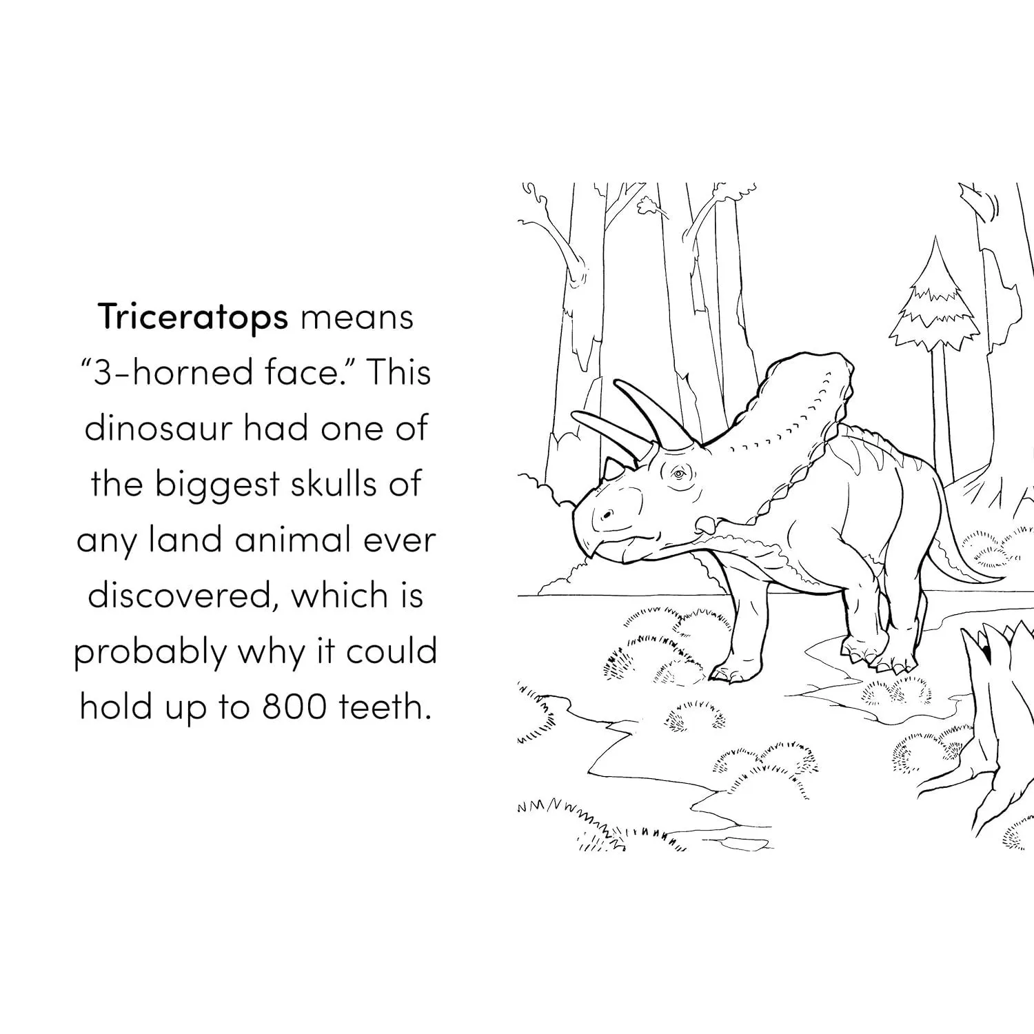 Dinosaur Book for Kids: Coloring Fun and Awesome Facts