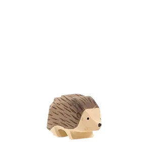 Hedgehog (1623)- Ostheimer