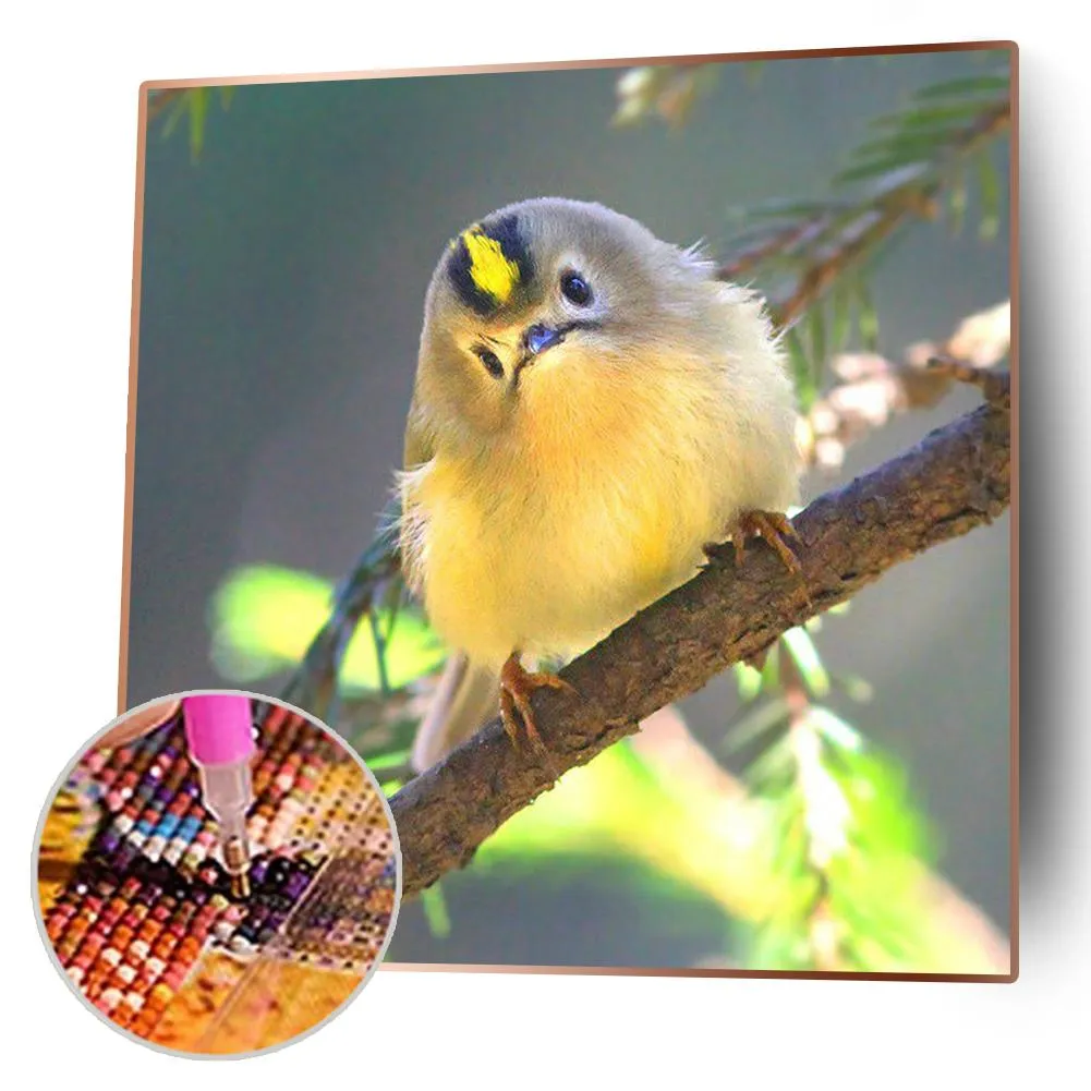 Parrot Full Drill Diamond Painting Accessories - 30x30CM