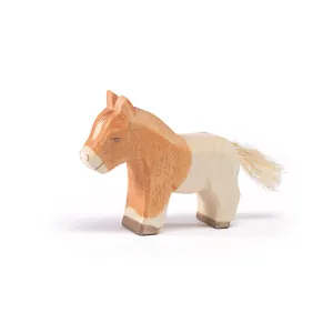 Shetland Colt (11305) Ostheimer