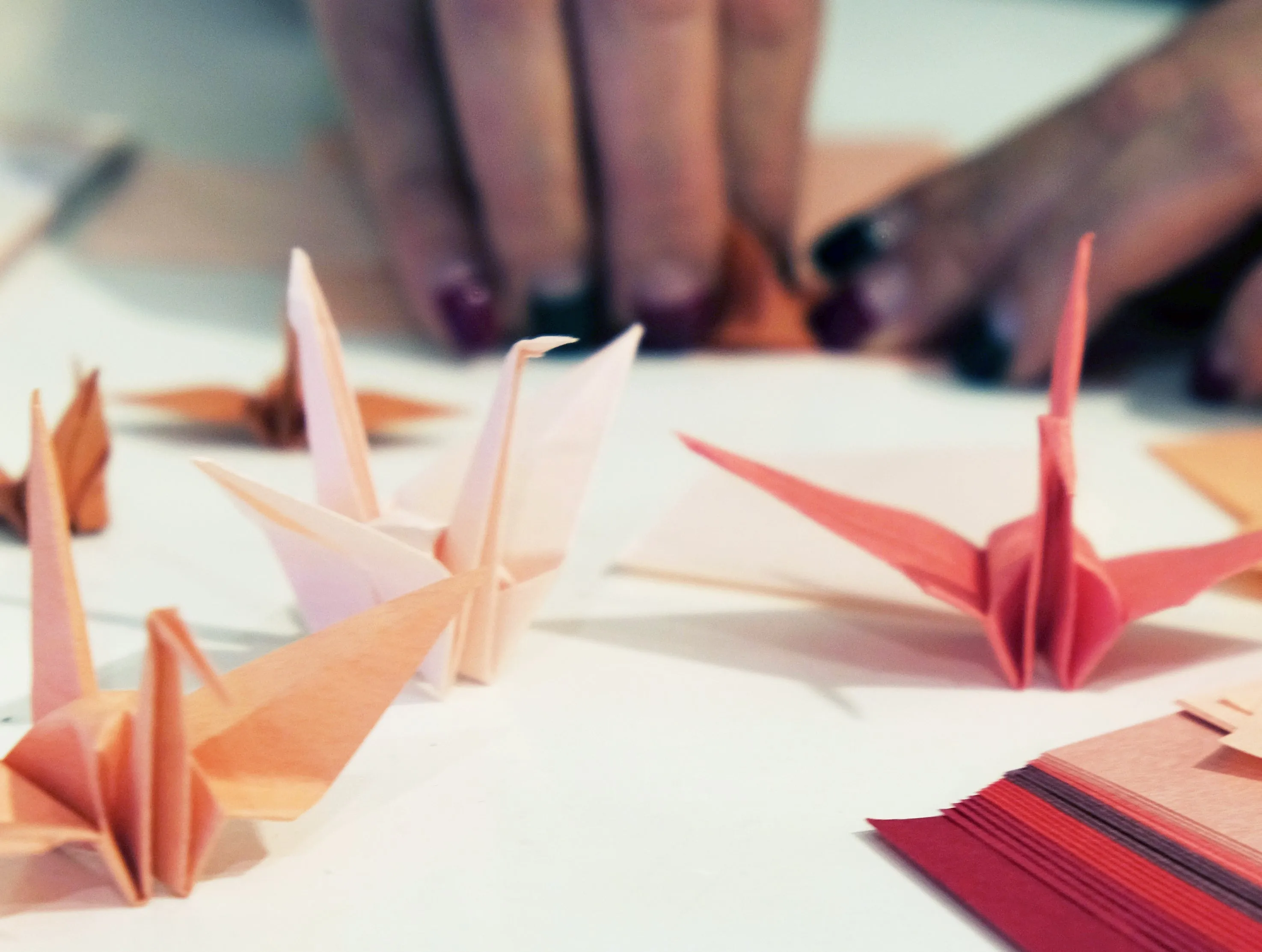 Shogado Origami Set