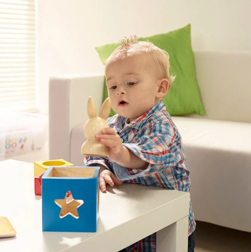 Smart Games Bunny Peek a Boo
