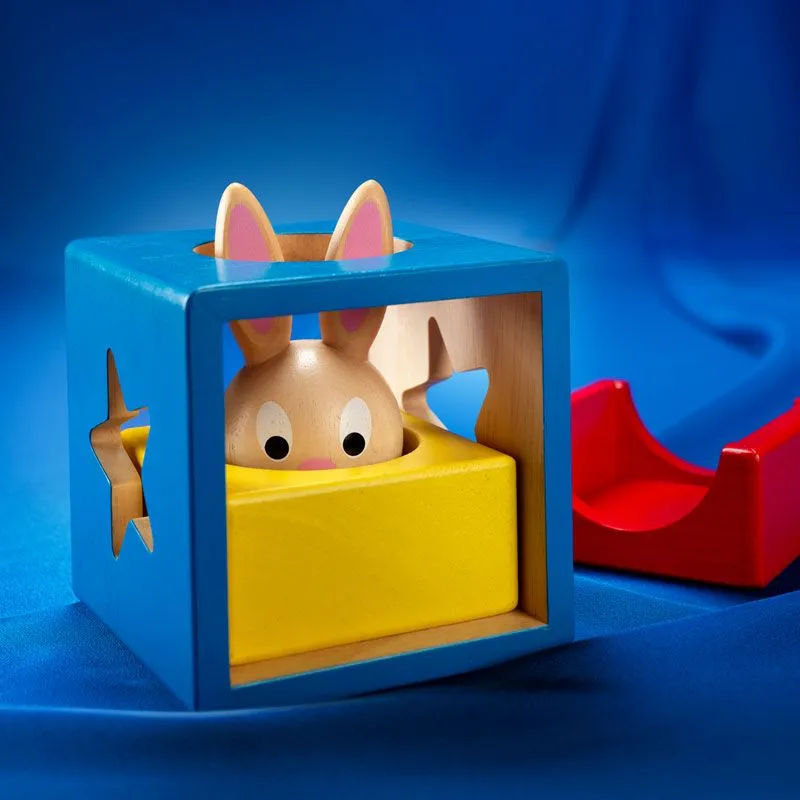 Smart Games Bunny Peek a Boo