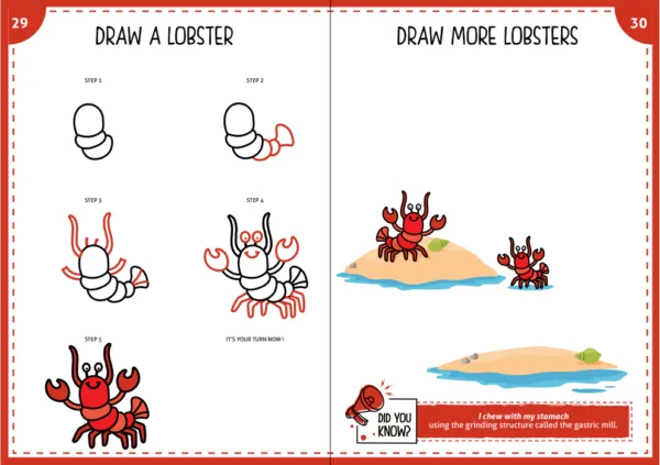 Step by Step Drawing Book – Mystical Marine Life