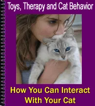 Toys, Therapy, and Cat Behavior - Mastering Interaction with Your Cat!
