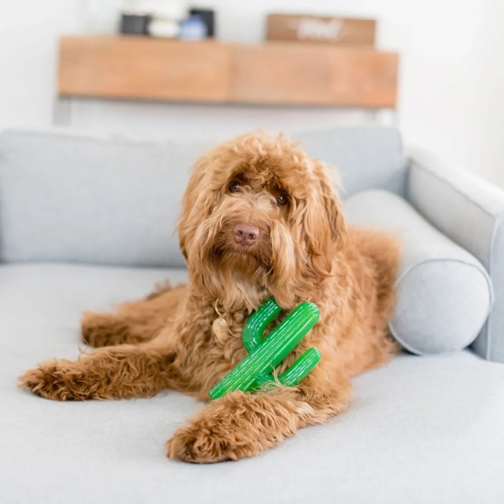 ZippyPaws ZippyTuff Cactus Dog Toy
